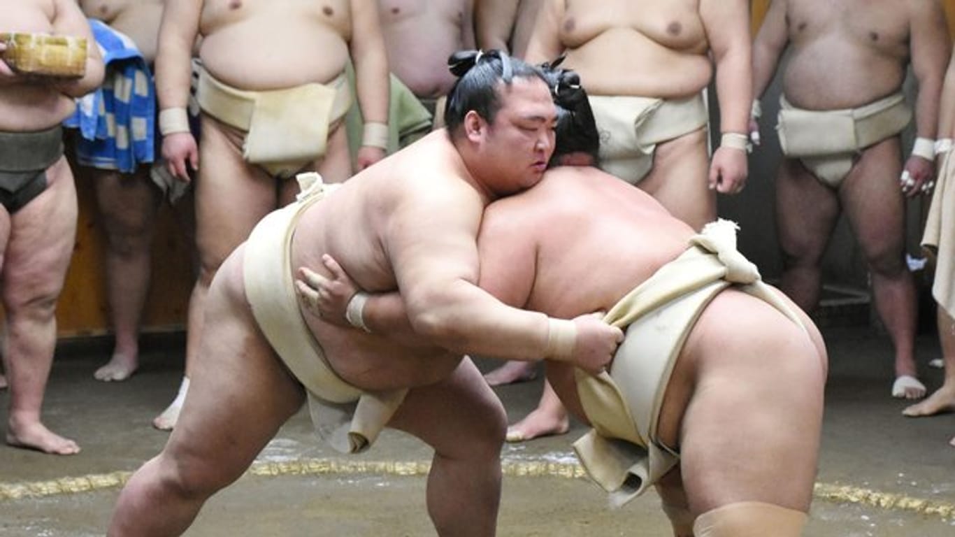 Der Großmeister Kisenosato (l) ringt während eines Sumo-Trainings mit Kotoshogiku.