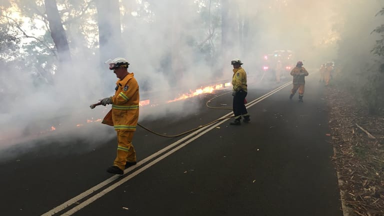 Feuerwehrleute einen Buschbran bei Sydney: Die Buschfeuer schienen nicht auf Wohnhäuser überzuschlagen.