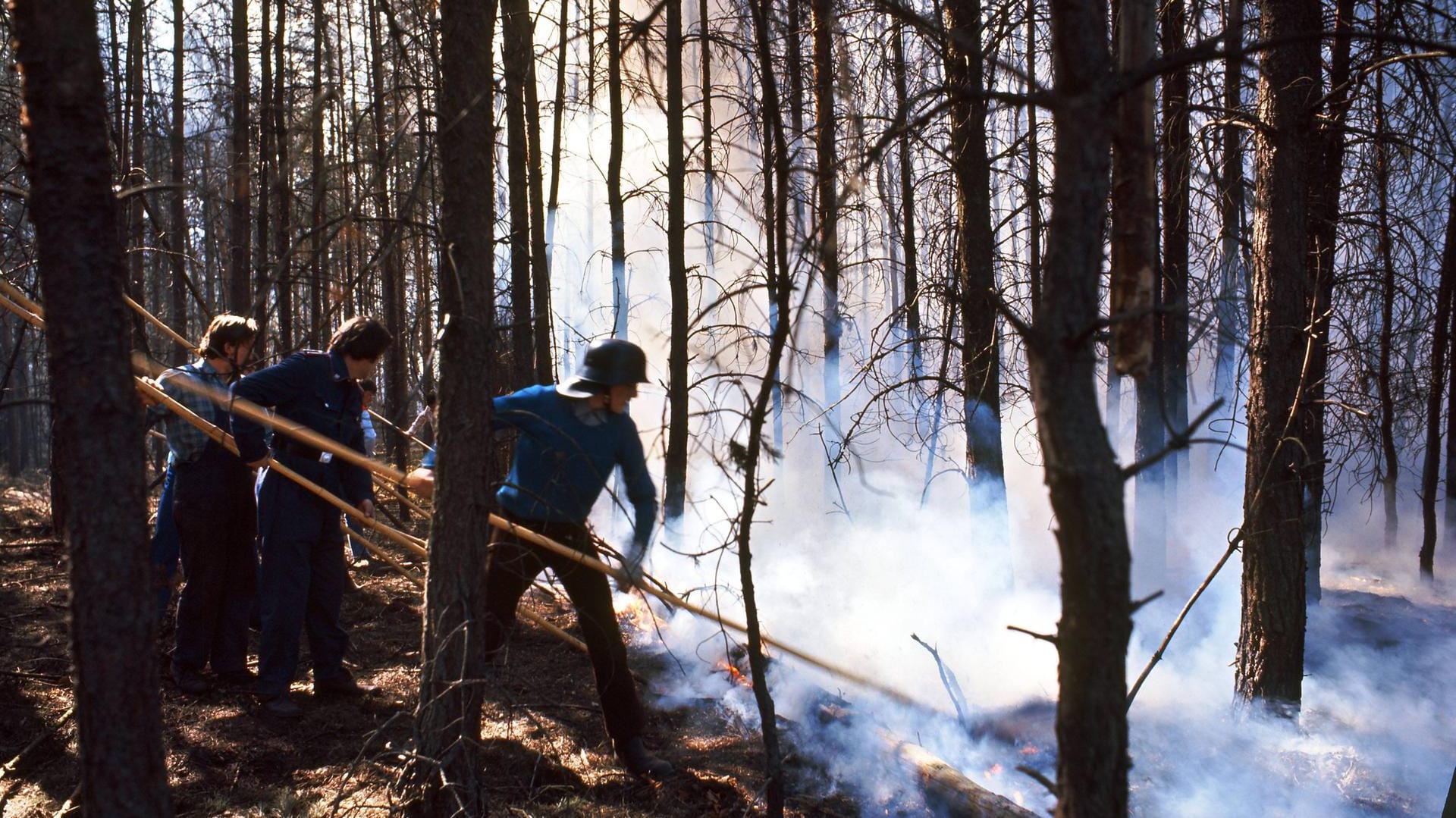 Löscharbeiten bei Gifhorn: im April 1975 wüteten bereits im April erste Waldbrände in Deutschland.