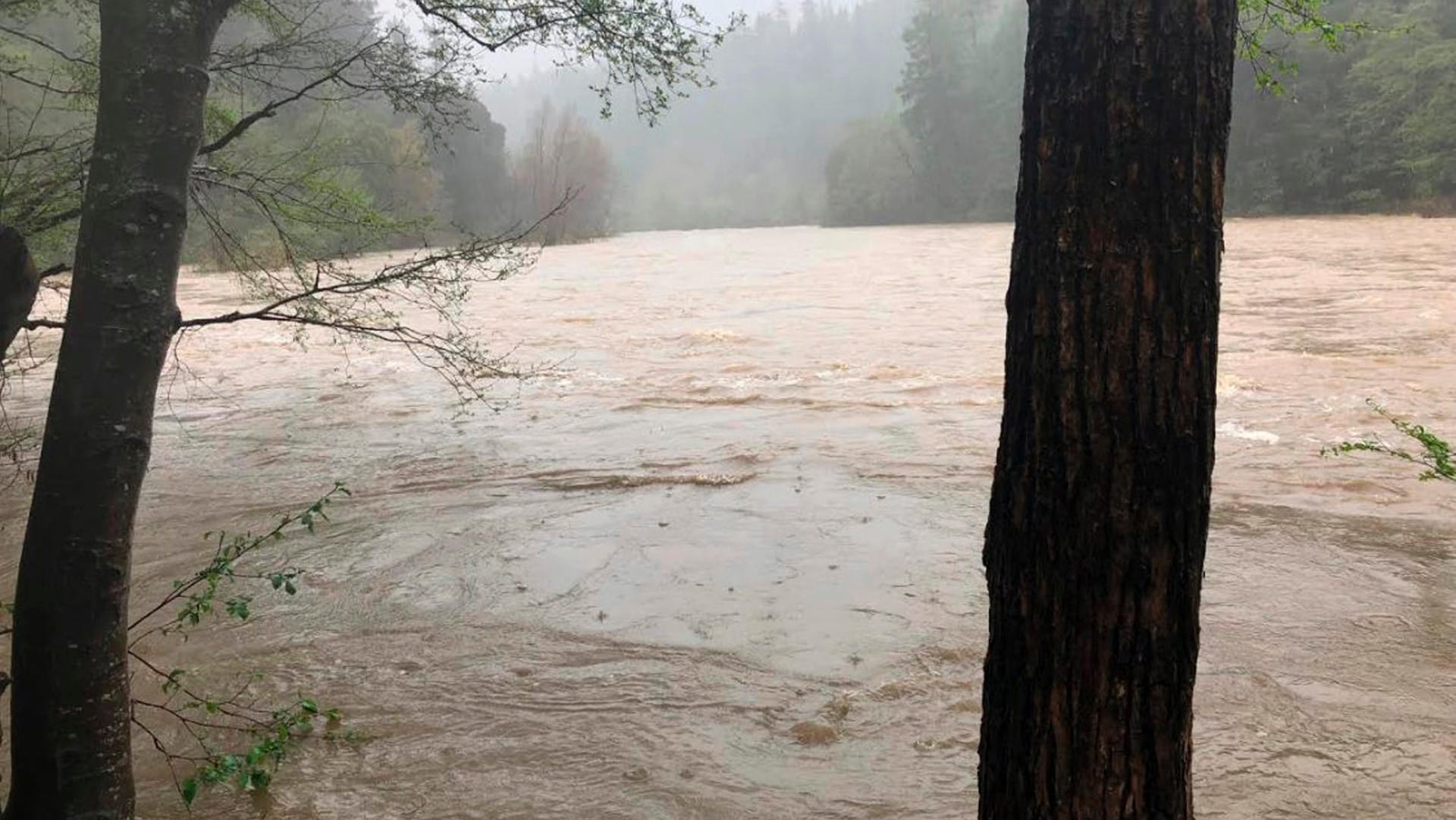 Hochwasser am Eel River in Mendocino County, Kalifornien: Der Geländewagen der Familie war in die Fluten gestürzt, die Eltern und beiden Kindern haben das Unglück nicht überlebt. Hochwasser am Eel River in Mendocino County, Kalifornien: Der Geländewagen der Familie war in die Fluten gestürzt, die Eltern und beiden Kindern haben das Unglück nicht überlebt.