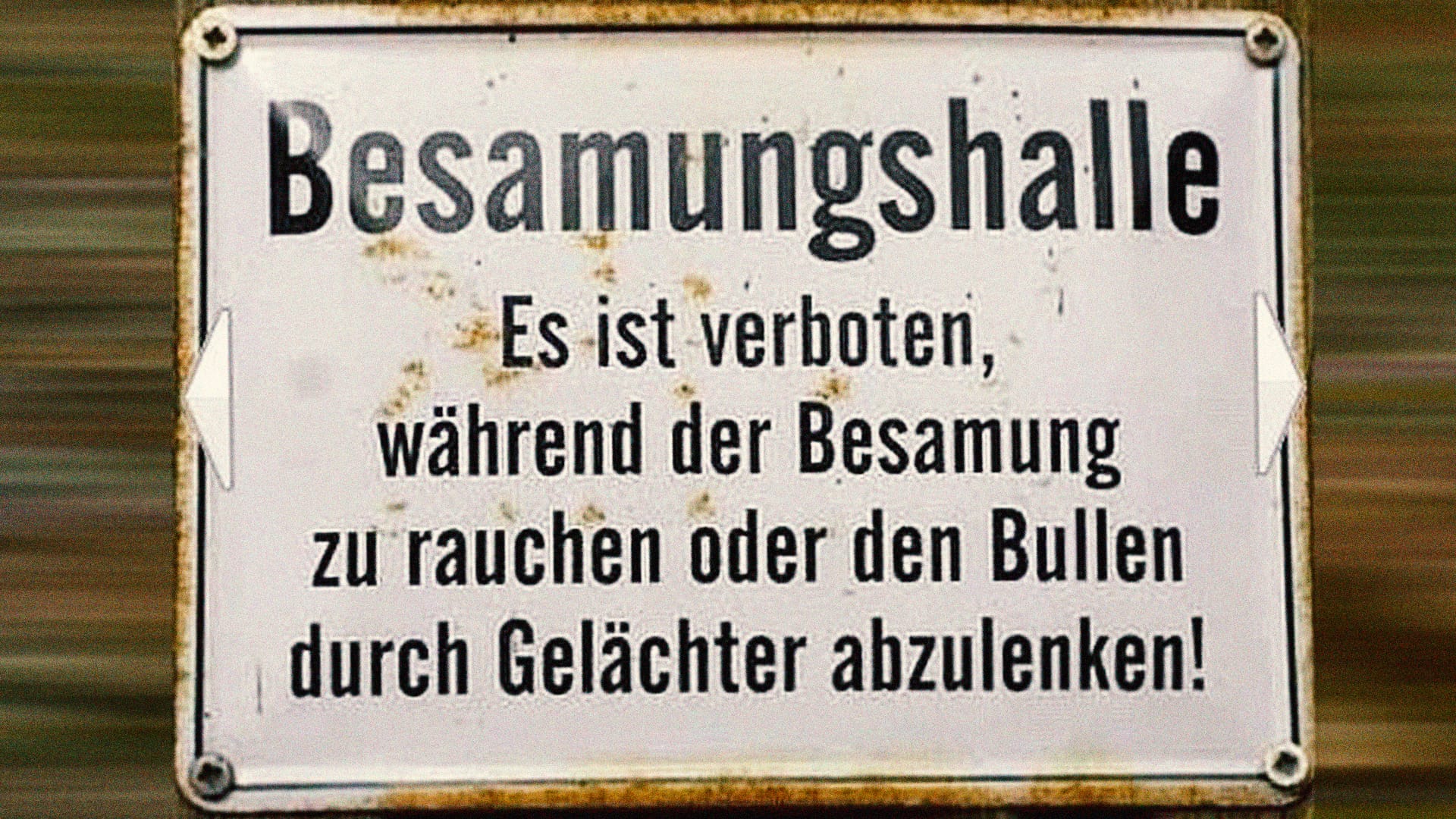 Die Zigarette danach: Noch während der Besamung wird gefälligst nicht geraucht, stellt dieses Schild klar.