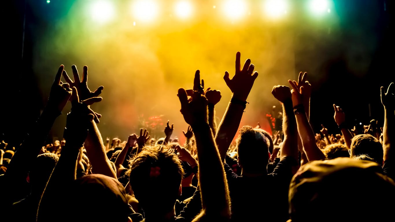 Junge Menschen feiern auf einem Konzert: Musik dient Jugendlichen unter anderem dazu, die eigene Identität zu finden und eine Gruppenzugehörigkeit zu stärken.
