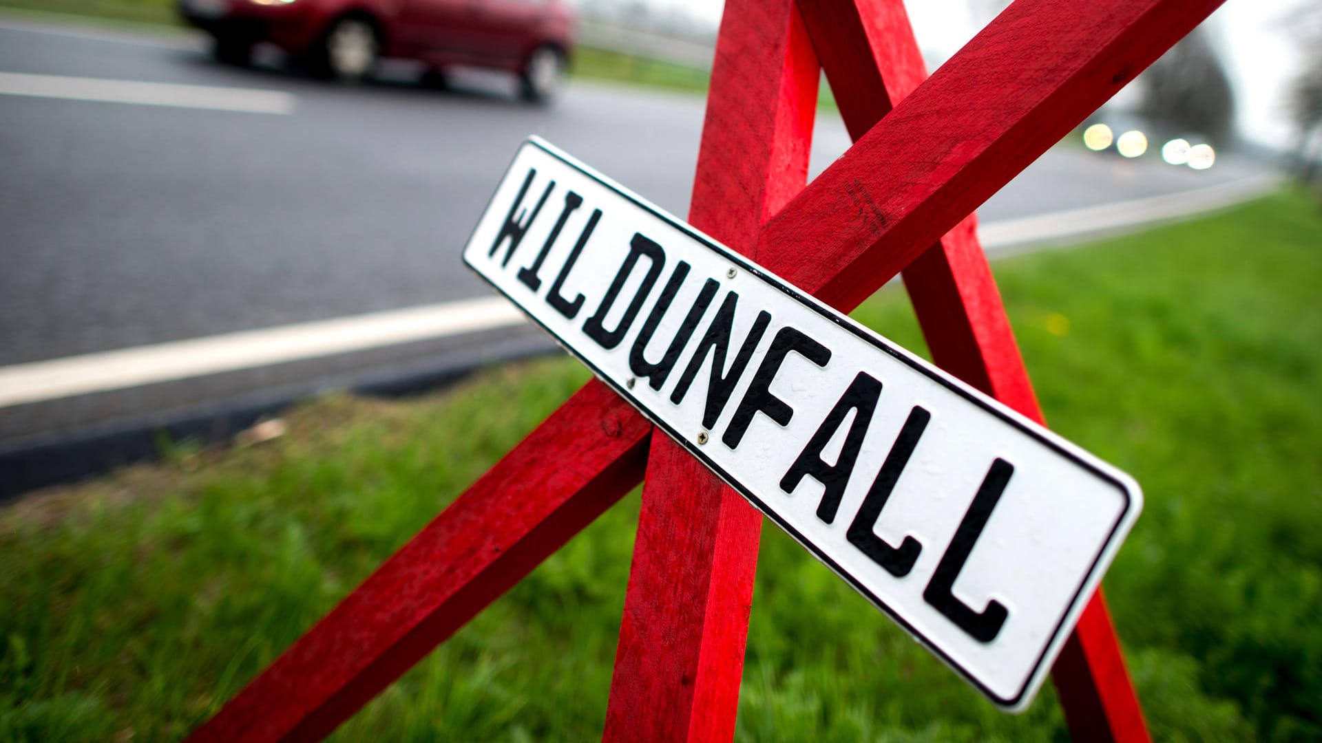 Wildunfall: In Hessen erfasste ein Autofahrer ein Reh und landete im Krankenhaus. (Symbolbild)