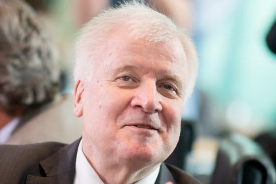 Bundesinnenminister Horst Seehofer: "Es scheint offenbar schräge Entwicklungen gegeben zu haben.