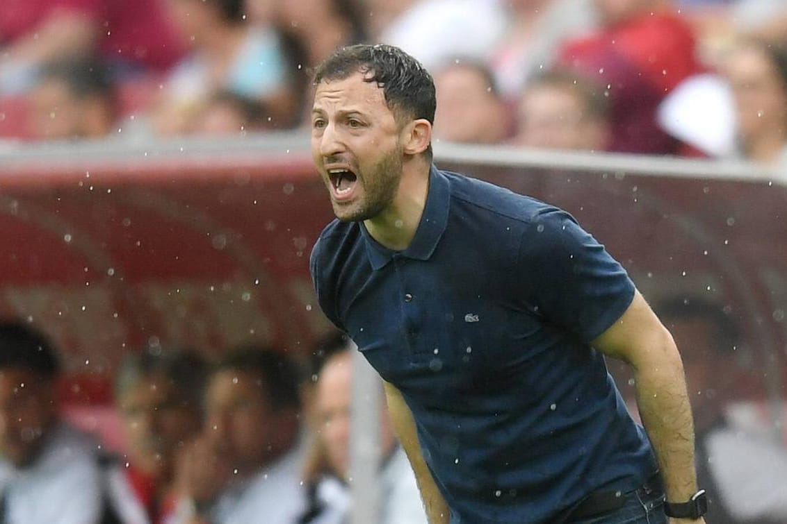 Vulkan an der Seitenlinie: Schalke-Trainer Domenico Tedesco.