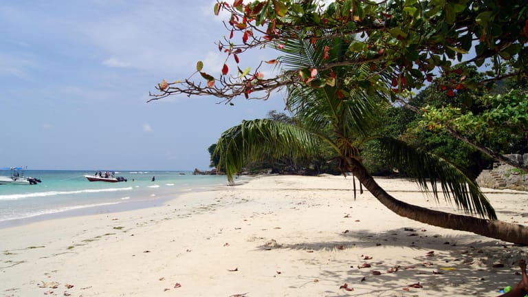 Ein Strand auf den Seychellen: Auf der Insel La Digue ist ein deutscher Urlauber seit mehreren Tagen verschwunden. (Archivbild)