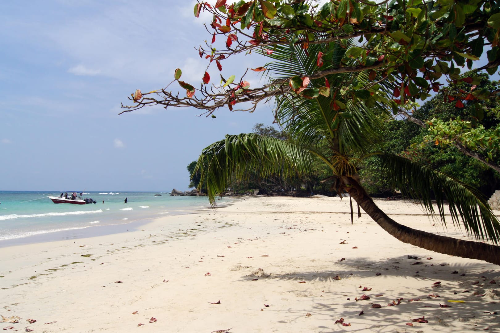 Ein Strand auf den Seychellen: Auf der Insel La Digue ist ein deutscher Urlauber seit mehreren Tagen verschwunden. (Archivbild)