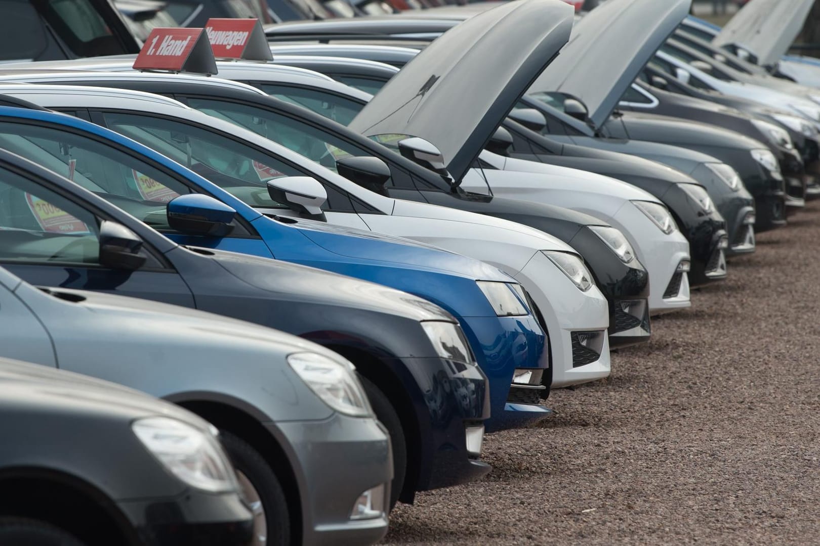 Gebrauchtwagen stehen bei einem Autohändler nebeneinander