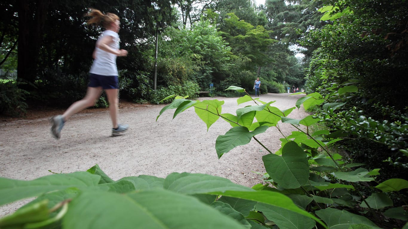 Eine Frau joggt durch einen Park in Hamburg: Im Hamburger Stadtteil Barmbek-Nord hat ein Unbekannter eine Frau überfallen und vergewaltigt. (Symbolbild)