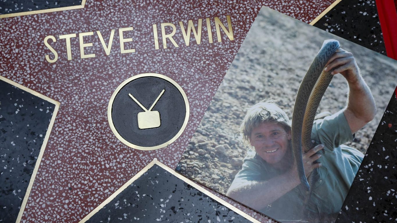 Auf dem Walk of Fame: Steve Irwin wurde elf Jahre nach seinem Tod mit einem Stern geehrt.