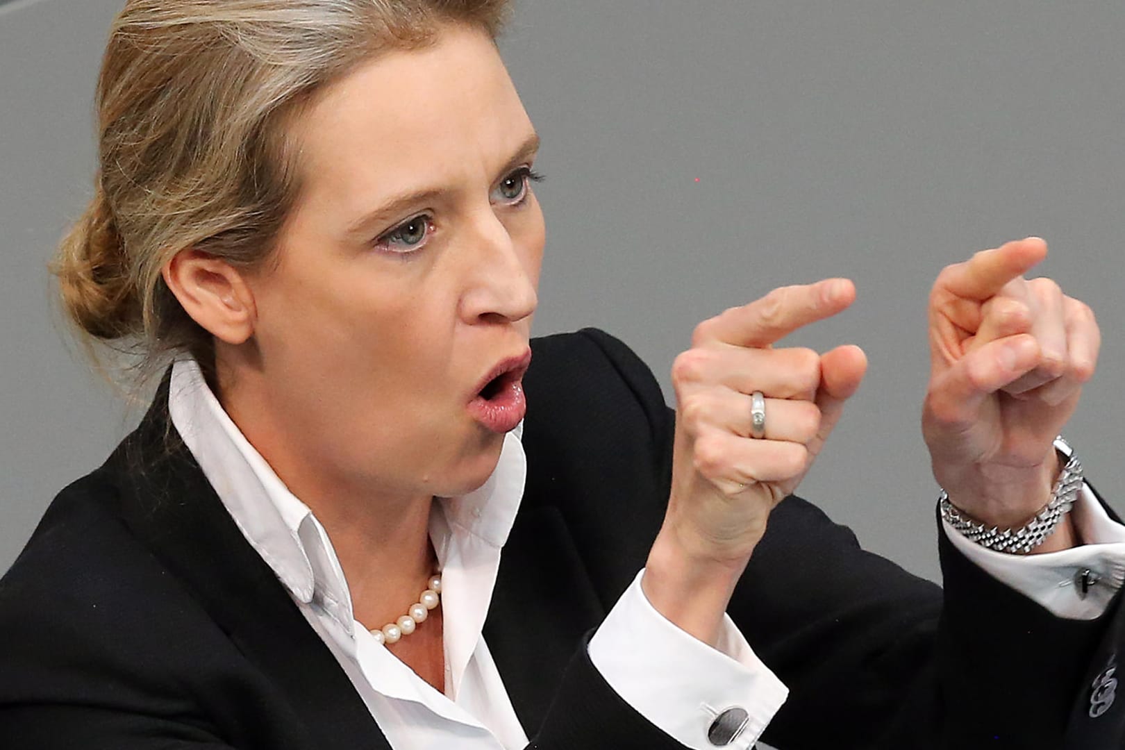 Alice Weidel: Die Co-Fraktionsvorsitzende der AfD will das Unternehmen Facebook zur Löschung eines beleidigenden Kommentars zwingen.