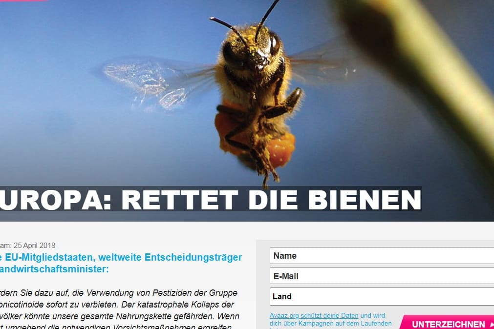 Millionenfach unterzeichnet: Die Petition für das Verbot mancher Bienengifte wurde gerade hochaktuell.