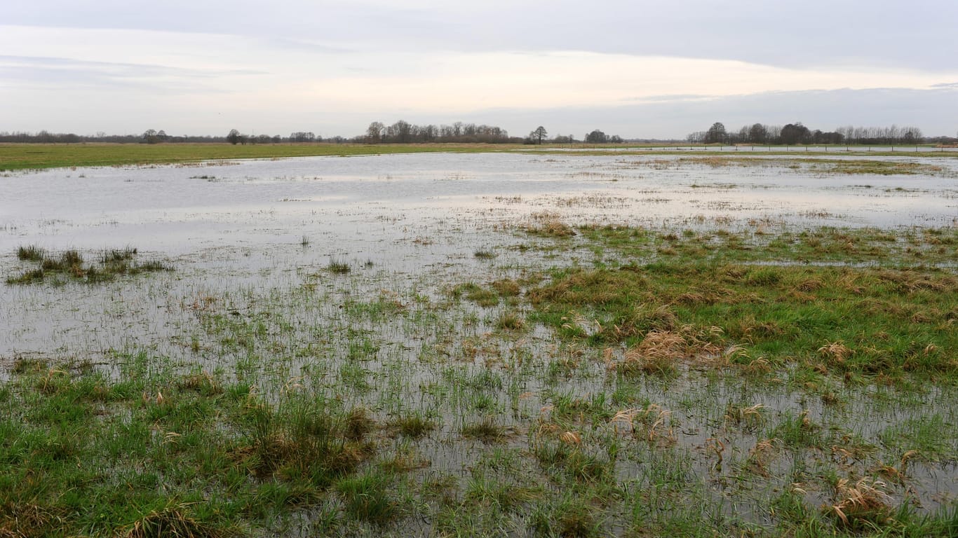 Die Überfluteten Wümmewiesen im Kreis Verden: Die unbekannte Tote starb bereits vor einiger Zeit.