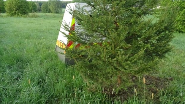 Richtig im Grünen: In der Eifel haben Unbekannte eine Fichte vor einem Blitzer eingepflanzt.