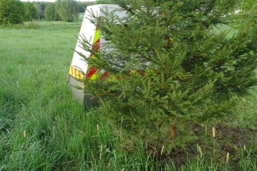 Richtig im Grünen: In der Eifel haben Unbekannte eine Fichte vor einem Blitzer eingepflanzt.