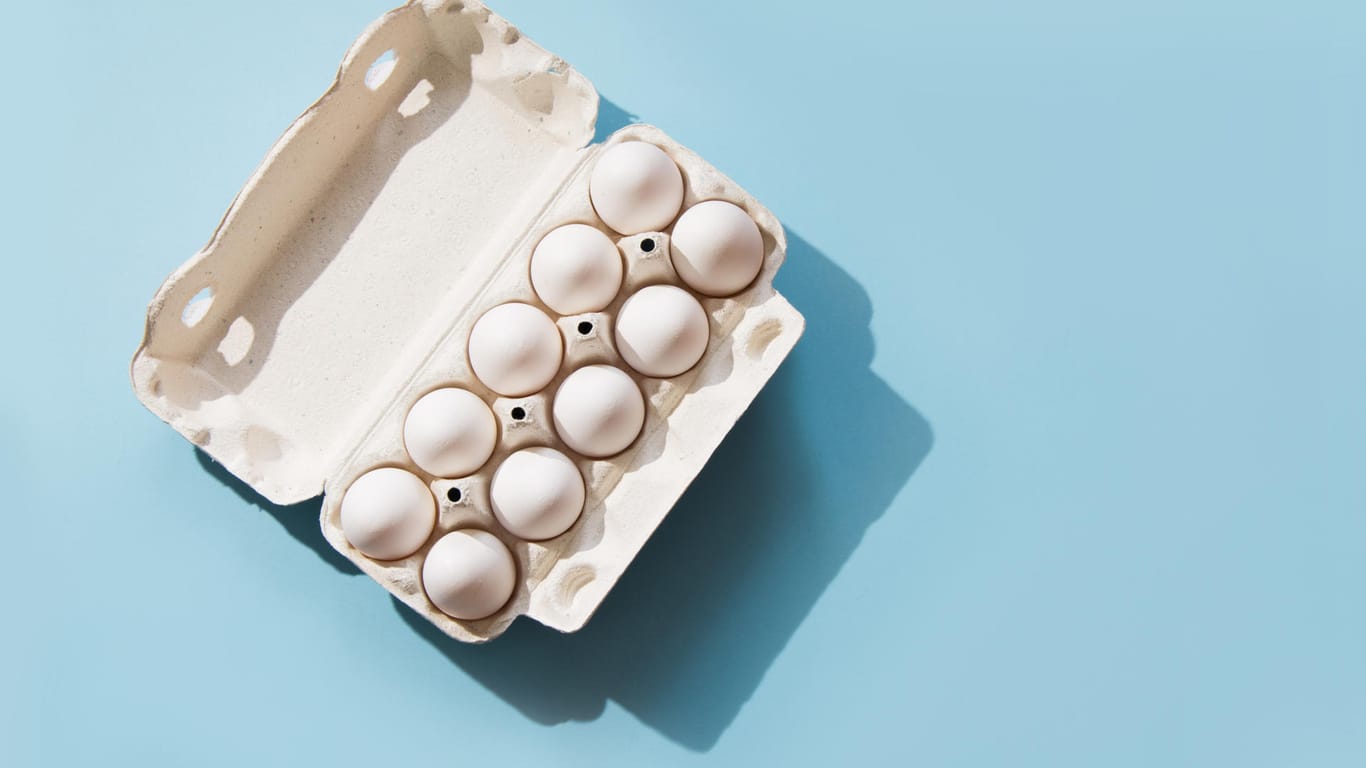 Eier: Freiland-Eier, die bei Norma verkauft wurden, werden wegen Salmonellen zurückgerufen.