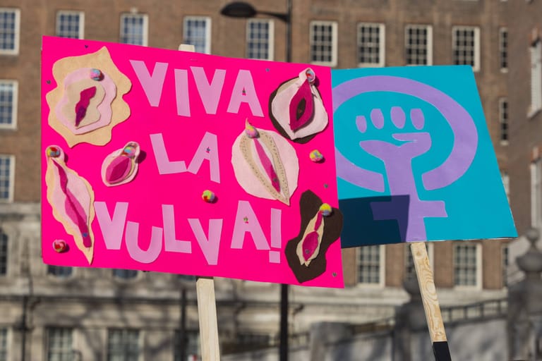 Demonstranten halten Plakate mit der Aufschrift: "Viva la Vulva" (Archiv).