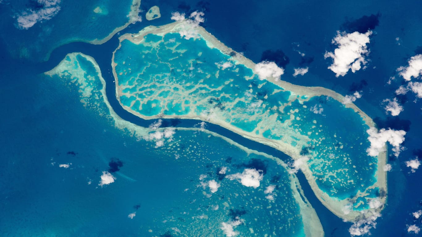 Das Great Barrier Reef aus dem Weltall fotografiert: Das Naturwunder vor der australischen Küste ist akut von der Zerstörung bedroht.