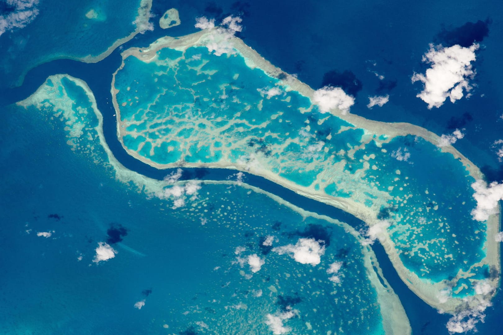 Das Great Barrier Reef aus dem Weltall fotografiert: Das Naturwunder vor der australischen Küste ist akut von der Zerstörung bedroht.