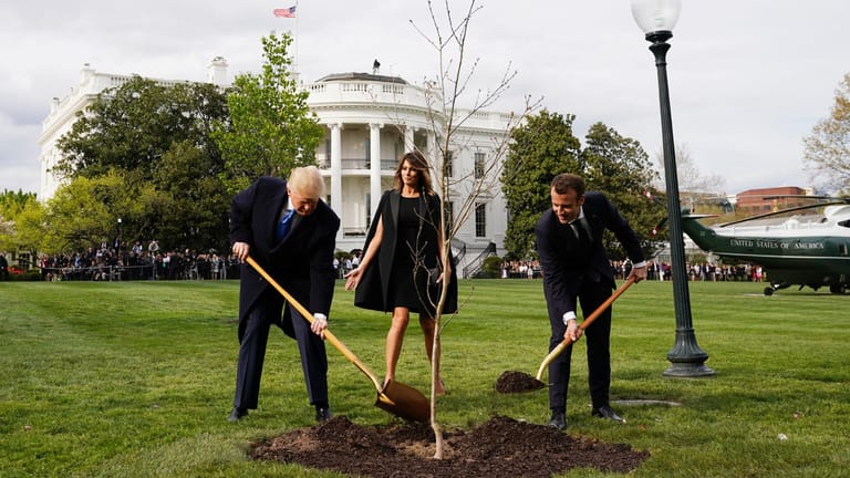 US-Präsident Donald Trump und Frankreichs Präsident Emmanuel Macron pflanzten gemeinsam eine Eiche: Nun ist das Geheimnis um den Verbleib des Baums gelüftet.