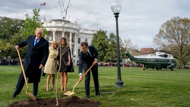 Donald Trump und Emmanuel Macron beim Einpflanzen der Eiche, die Macron als Geschenk zu seinem Besuch in Washington aus Frankreich mitgebracht hatte.