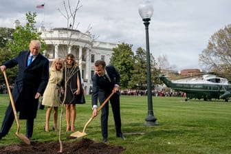 Donald Trump und Emmanuel Macron beim Einpflanzen der Eiche, die Macron als Geschenk zu seinem Besuch in Washington aus Frankreich mitgebracht hatte.