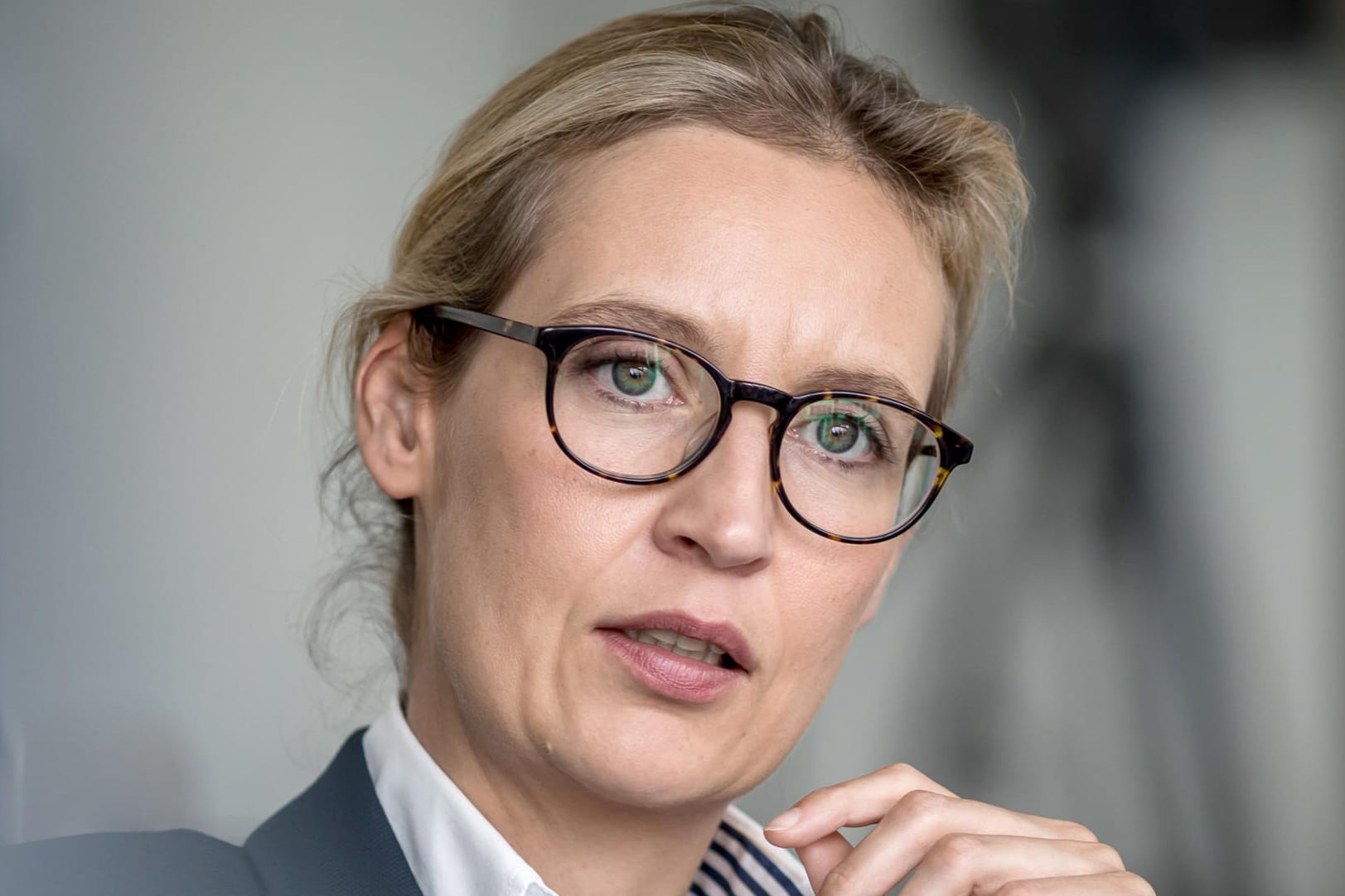 Alice Weidel: Die AfD-Politikerin wurde auf Facebook als "Nazi Drecksau" beschimpft.