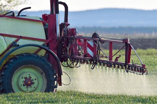 Ein Landwirt versprüht Pflanzenschutzmittel auf einem Feld mit jungem Getreide im brandenburgischen Sieversdorf.