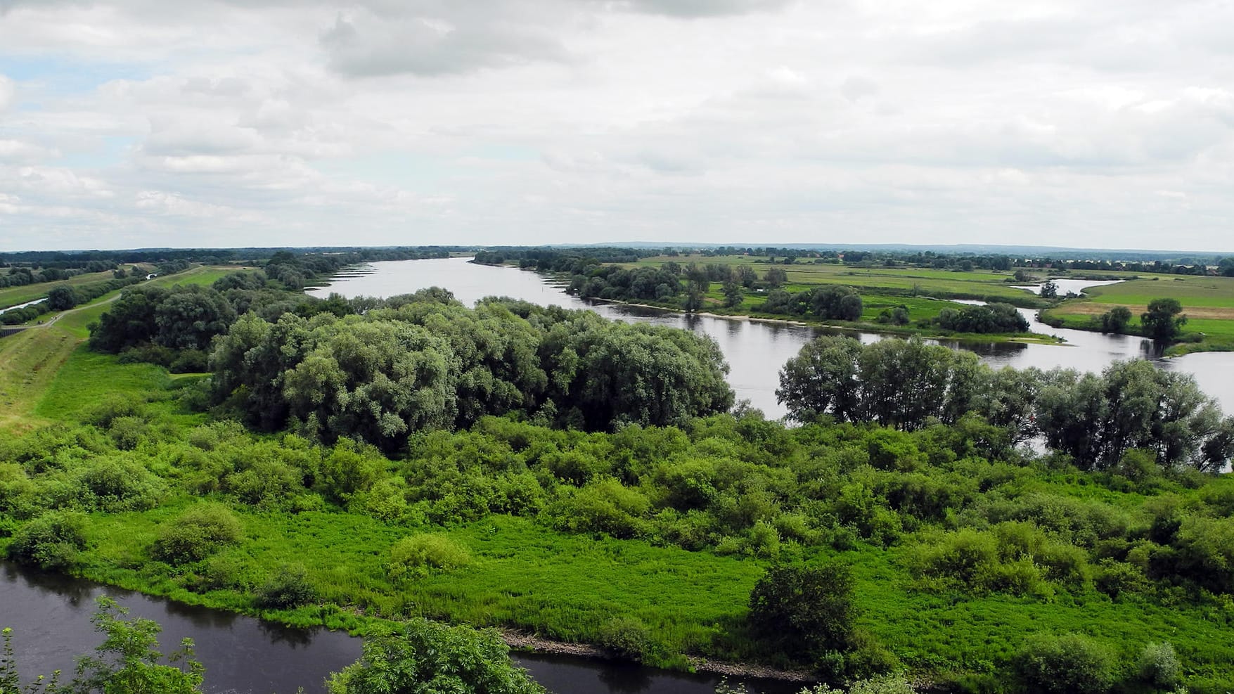 Malerische Landschaft in Boizenburg: In einem Wald in der Nähe ist es zu einer Verfolgungsjagd gekommen – mit schwerwiegenden Folgen. Malerische Landschaft in Boizenburg: In einem Wald in der Nähe ist es zu einer Verfolgungsjagd gekommen – mit schwerwiegenden Folgen.