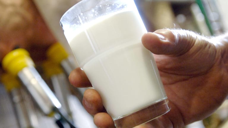 Ein Glas Milch: In den Supermarktregalen zeichnet sich ein deutlicher Preisrückgang bei der Milch ab.