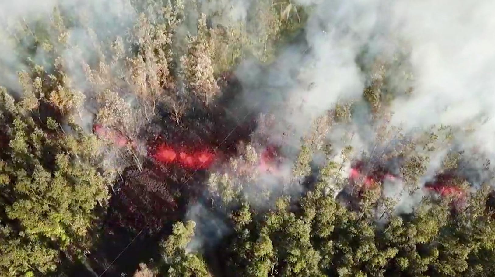 Glühende Lava tritt aus einer Erdspalte in einem Waldgebiet auf Hawaii hervor: Bis zu zehntausend Einwohner wurden aufgerufen, ihrer Häuser zu verlassen.