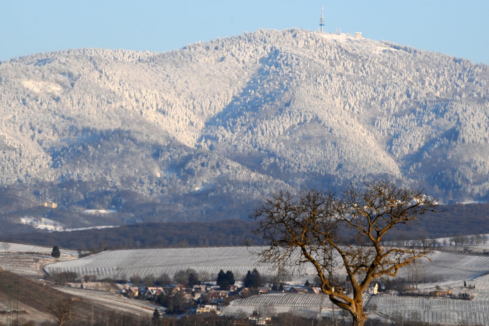 Schneebedeckte Berge im Schwarzwald bei Müllheim: Nahe der Stadt in Baden-Württemberg wurde am späten Freitagabend ein Erdbeben der Stärke 3,4 gemessen.