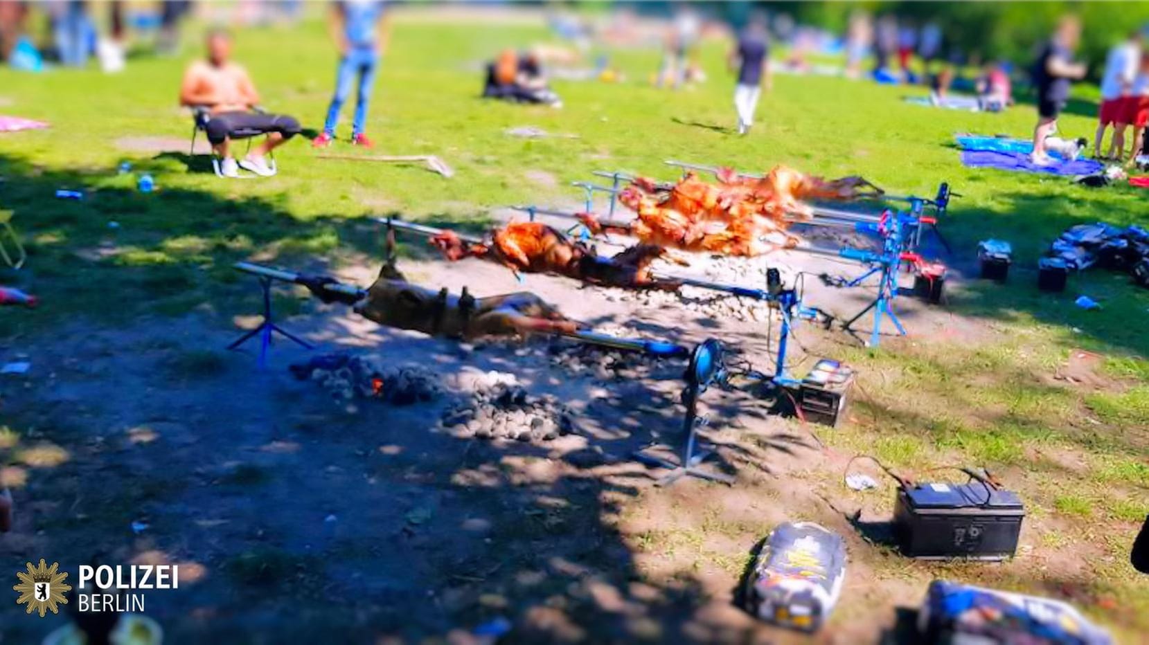 Grillparty extrem: Auf Spießen grillten insgesamt zwölf Schafe. Die Kohlen waren einfach auf dem Rasen verteilt worden.