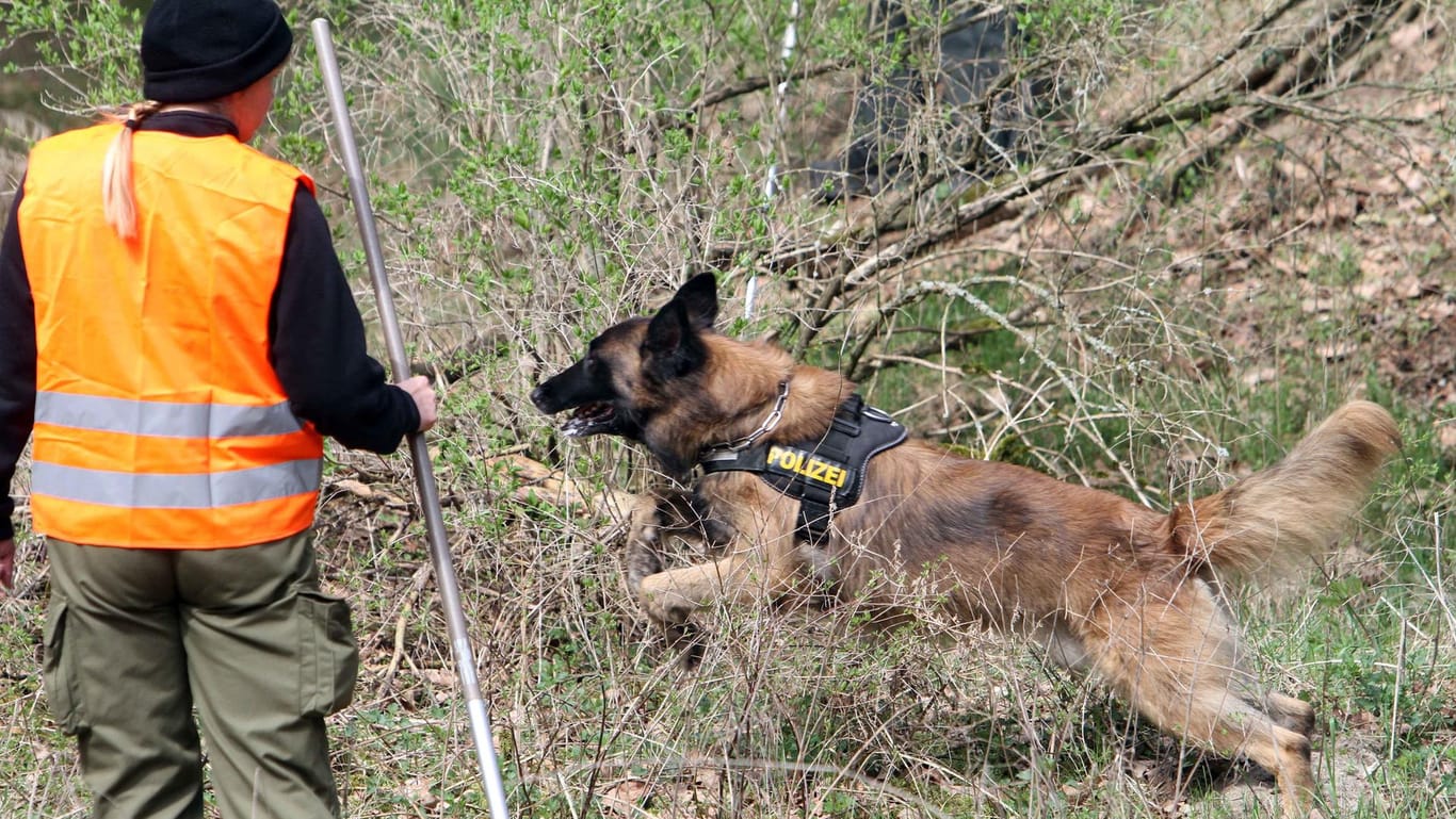 Eine Hundestaffel der Polizei durchsucht ein Waldgebiet: Polizei sucht zwei Dreijährige mit Hundestaffel und Hubschrauber.