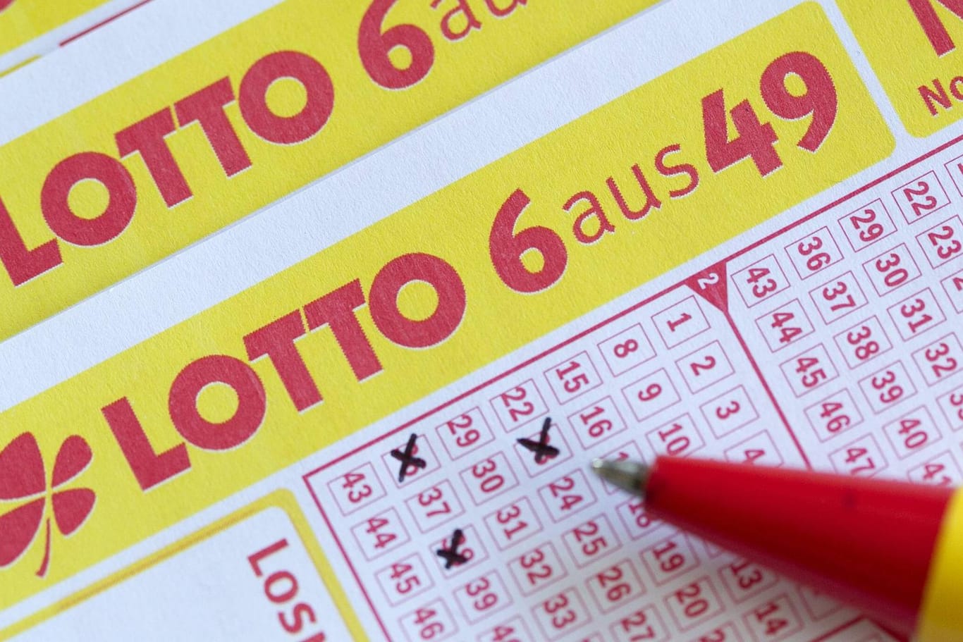 Lottoschein: Haben sie auf die richtigen Lottozahlen getippt?