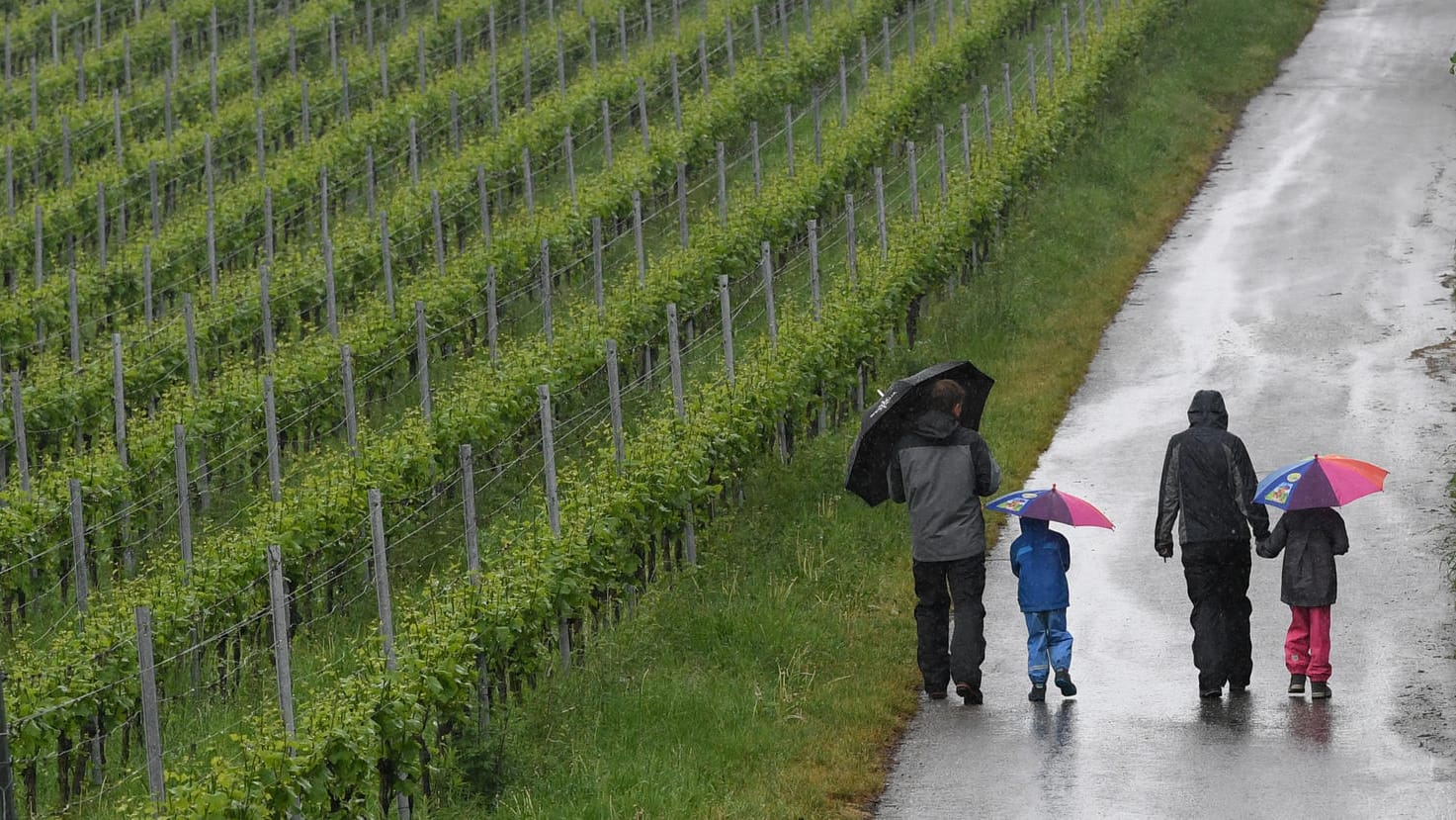 Ein Familie läuft am Vatertag durch den Regen: Auch der Muttertag wird vielerorts ins Wasser fallen.