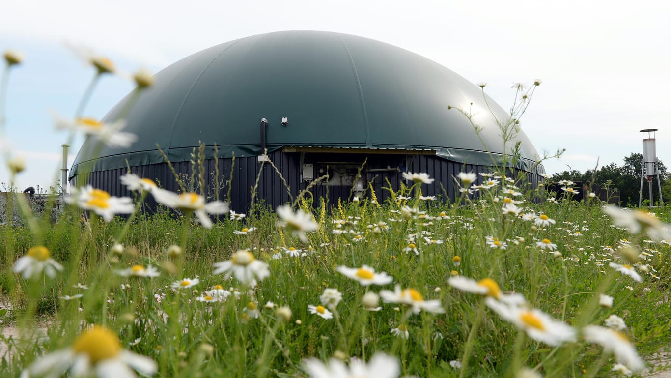 Eine Biogasanlage in Brandenburg. Am ersten Mai wurde der Strom aus diesen Anlagen eigentlich nicht gebraucht – produziert wurde er trotzdem.