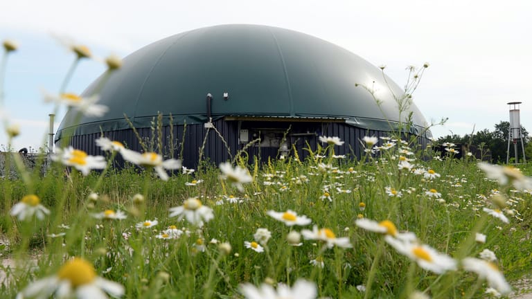 Eine Biogasanlage in Brandenburg. Am ersten Mai wurde der Strom aus diesen Anlagen eigentlich nicht gebraucht – produziert wurde er trotzdem.