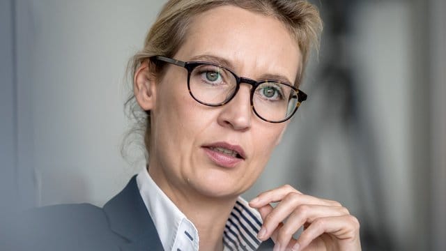 Rapper Farid Bang hatte Weidel unter anderem als "Nazi-Bitch" bezeichnet. Rapper Farid Bang hatte Weidel unter anderem als "Nazi-Bitch" bezeichnet.
