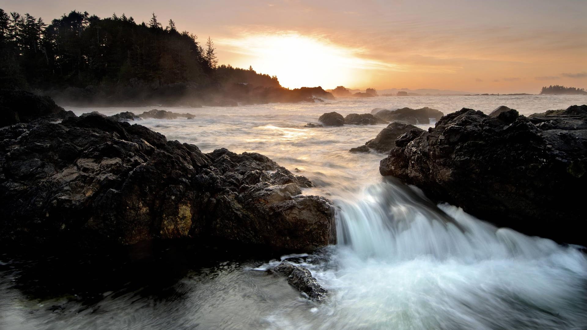 Sonnenaufgang vor der Westküste Kanadas: Die Reihe grausiger Funde in British Columbia setzt sich fort. Sonnenaufgang vor der Westküste Kanadas: Die Reihe grausiger Funde in British Columbia setzt sich fort.