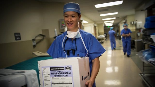 Ein Organ für eine Transplantation wird in einer Kiste getragen: Die Zahl der Drogentoten, die mindestens ein Organ spendeten, hat sich von 59 (2000) auf 1029 (2016) erhöht. Ein Organ für eine Transplantation wird in einer Kiste getragen: Die Zahl der Drogentoten, die mindestens ein Organ spendeten, hat sich von 59 (2000) auf 1029 (2016) erhöht.