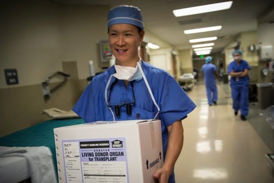 Ein Organ für eine Transplantation wird in einer Kiste getragen: Die Zahl der Drogentoten, die mindestens ein Organ spendeten, hat sich von 59 (2000) auf 1029 (2016) erhöht.
