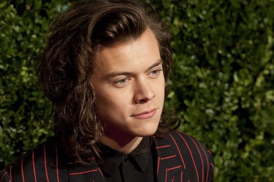 Der britische Sänger Harry Styles hat viel erlebt, was er jetzt in einer Sitcom verarbeitet.