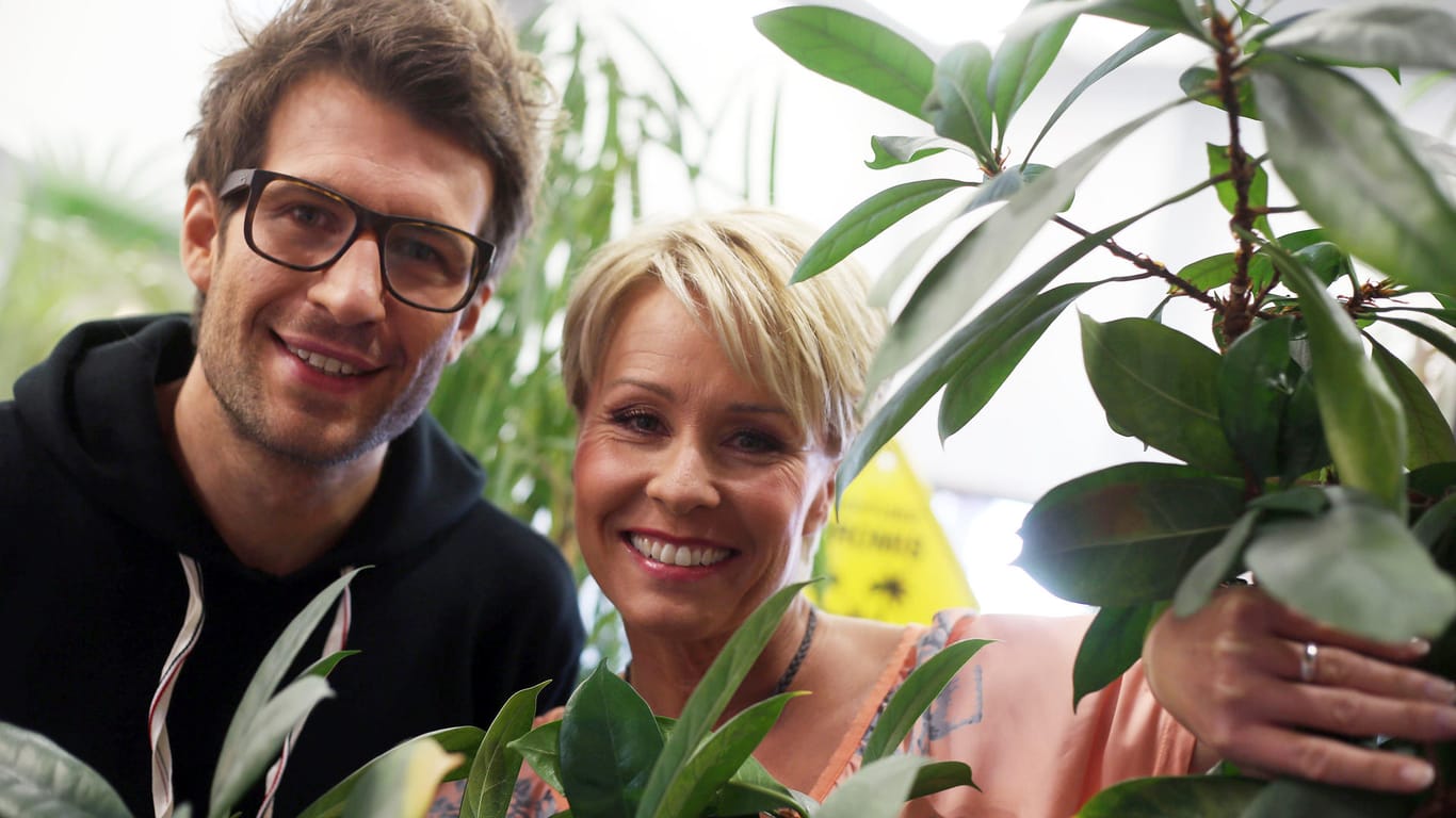 Daniel Hartwich und Sonja Zietlow: Sie werden 2019 wieder das Dschungelcamp moderieren.