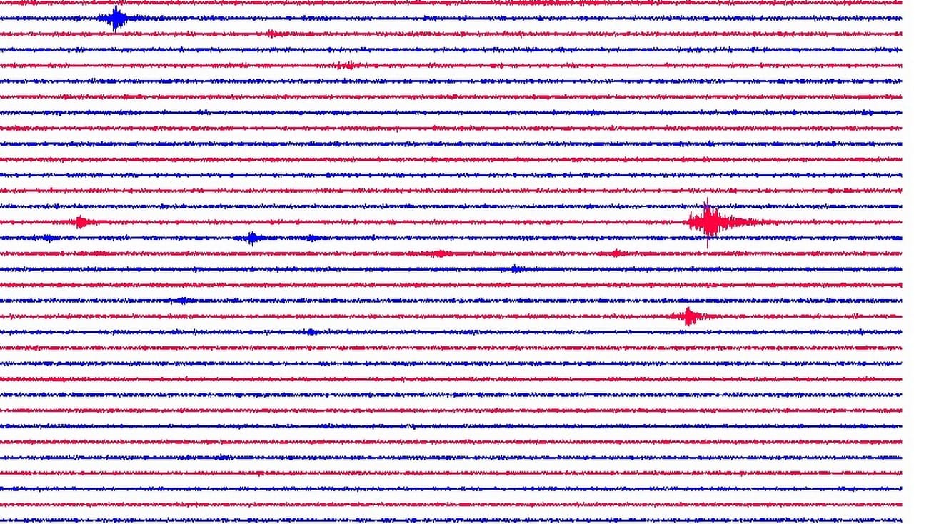 Aufzeichnung eines Seismografen: In der Region Leipzig könnte es künftig weitere Erdbeben geben. Aufzeichnung eines Seismografen: In der Region Leipzig könnte es künftig weitere Erdbeben geben.