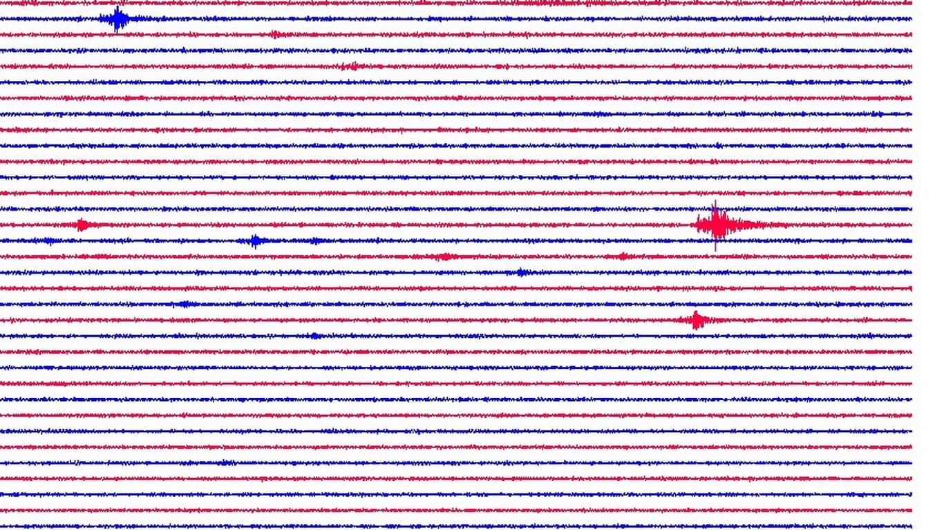 Aufzeichnung eines Seismografen: In der Region Leipzig könnte es künftig weitere Erdbeben geben.