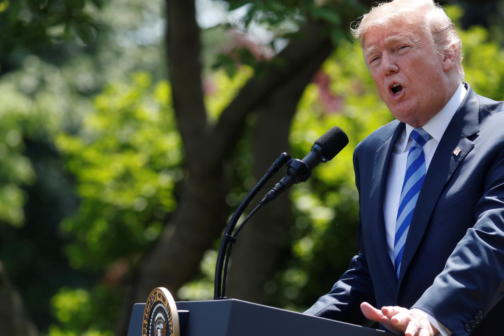 US-Präsident Donald Trump im Garten des Weißen Hauses (Archiv)