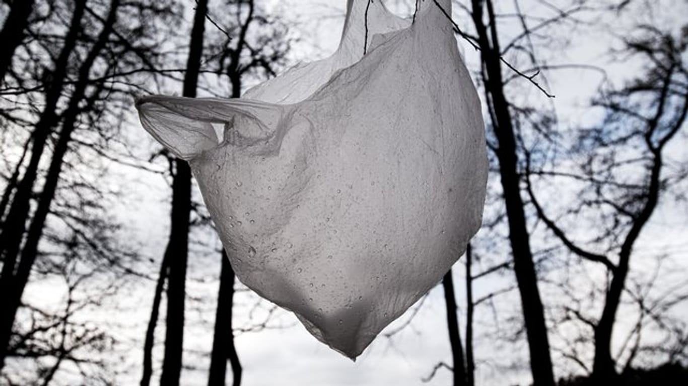 Eine weggeworfene Plastiktüte flattert im Wind an einem Baum im Wald.