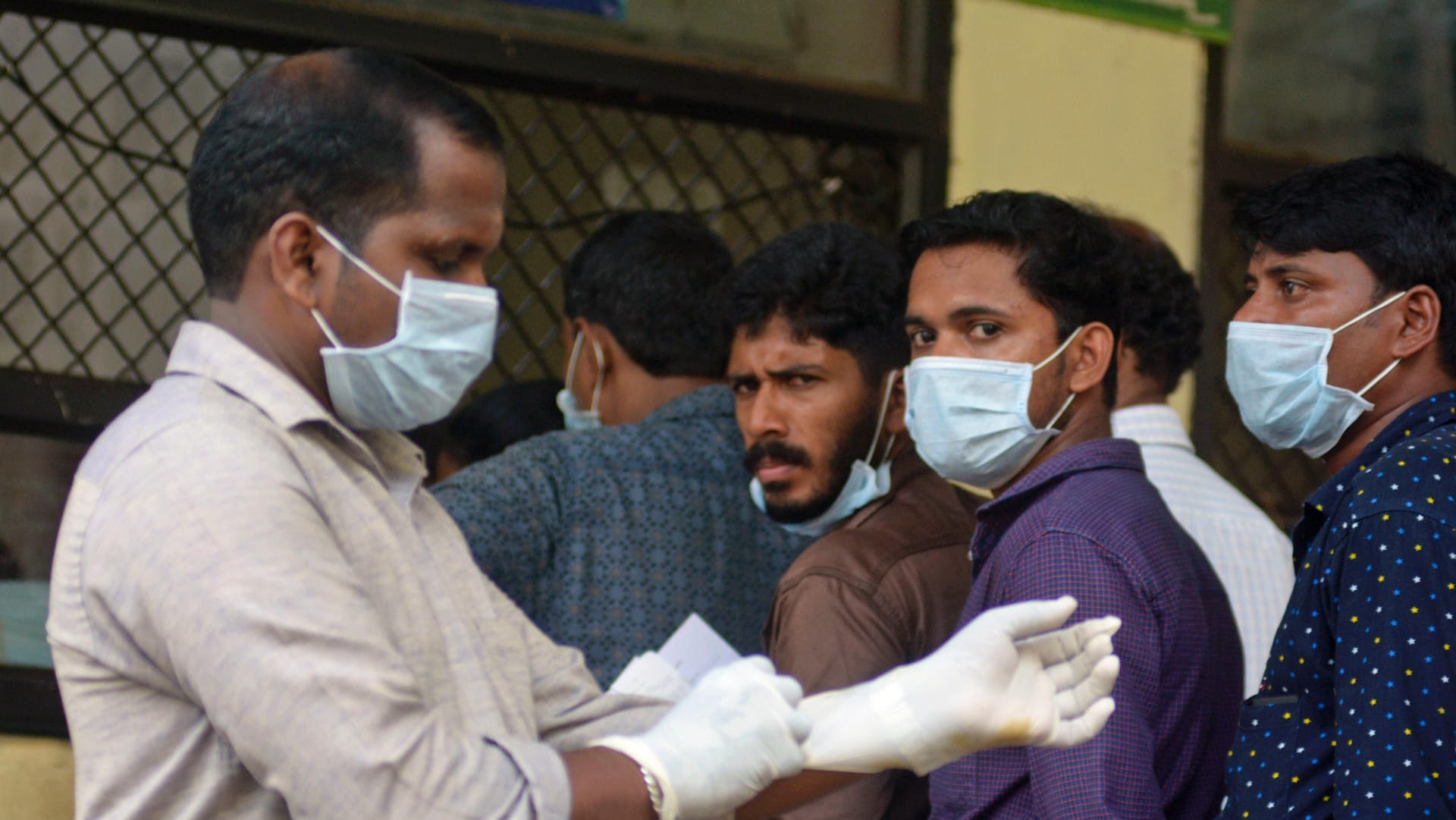 Nipah-Virus in Indien: Flughunde gelten als natürliche Wirte des Virus.