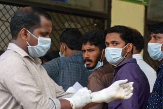 Nipah-Virus in Indien: Flughunde gelten als natürliche Wirte des Virus.